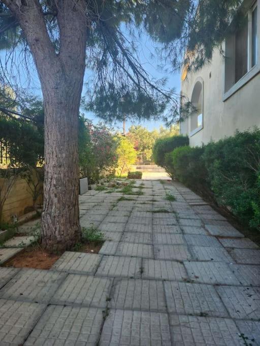 Peaceful Oasis Apartment Athens Exterior photo