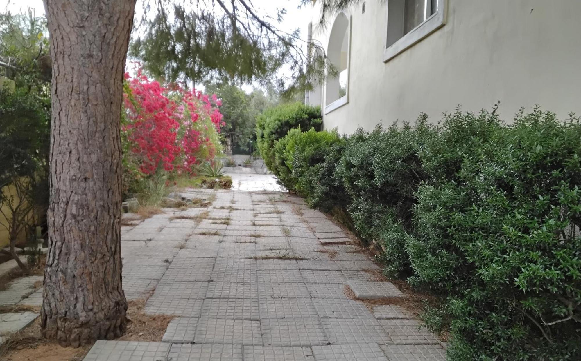 Peaceful Oasis Apartment Athens Exterior photo